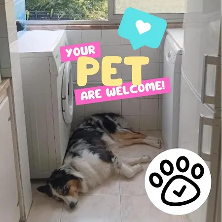 民宿 Private In Shared - Shared Bathroom And Dog Friendly *